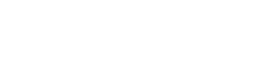 SunX